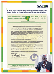 A3 poster of Cardinal Stephen’s letter